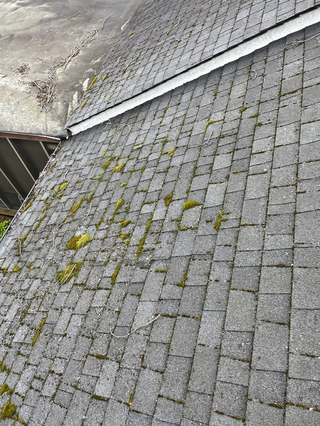 Shingle roof with moss and organic growth before cleaning