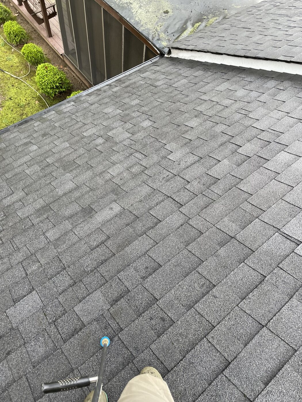 Clean shingle roof after treatment by Anderson Home Services